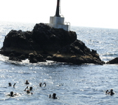 gay liveaboard scuba diving