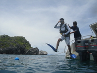 Samui speed boat for charter