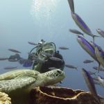 25-06 North Sulawesi 6.jpg