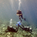 25-06 North Sulawesi 7.jpg
