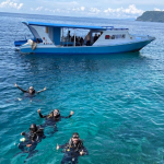 25-06 North Sulawesi 48.jpg