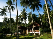newly build bungalows
