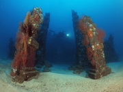 Pemuteran Diving